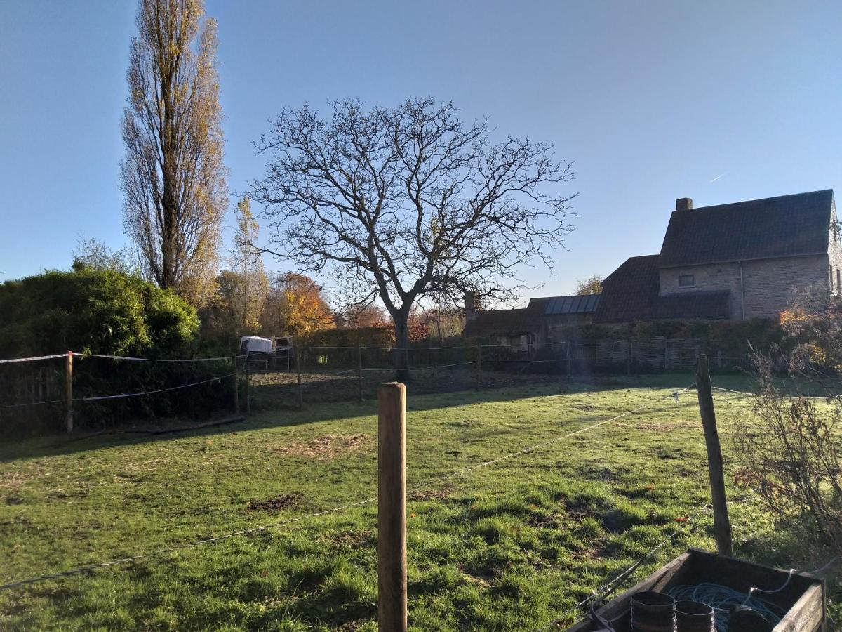Hof Ter Sysen Villa Loppem Kültér fotó